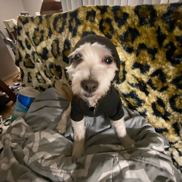 Meet your Posher, Ashanti - Picture 1 of 1